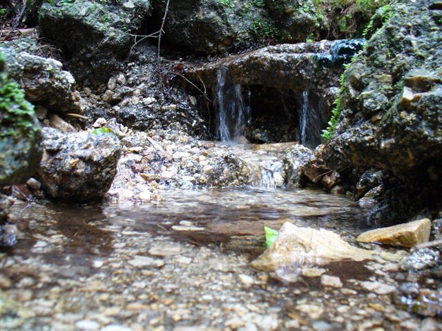 P1010270.JPG