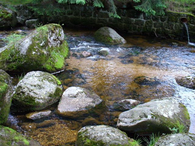 P1010272.JPG