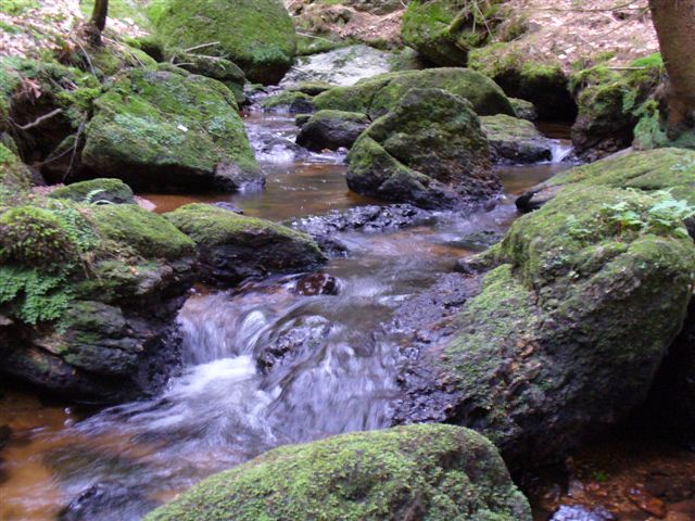 P1010283.JPG