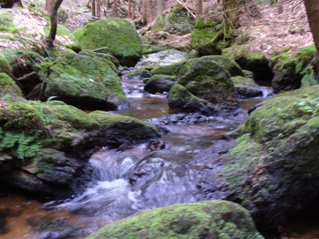 P1010284.JPG