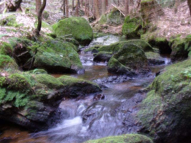 P1010285.JPG