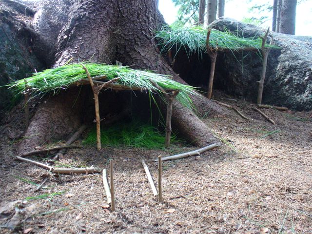 P1010291.JPG