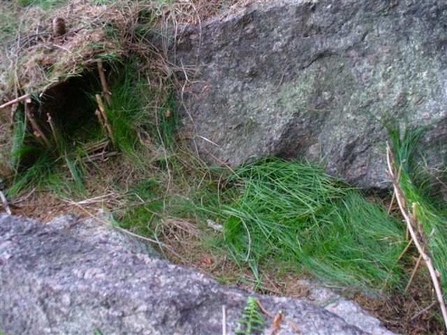 P1010294.JPG
