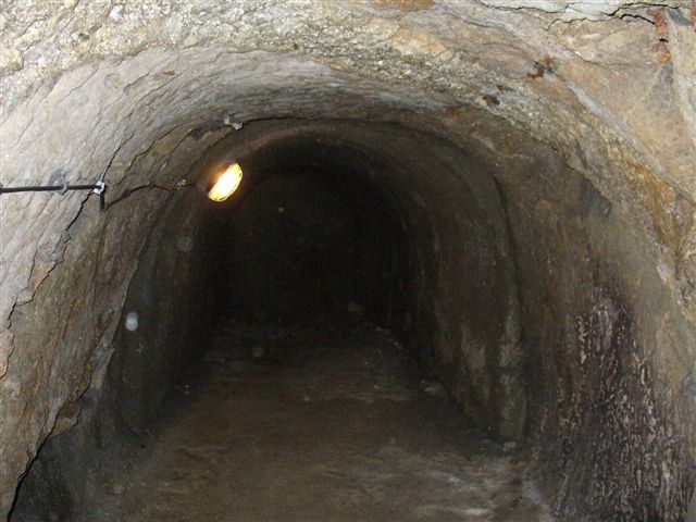 P1000wg012.JPG