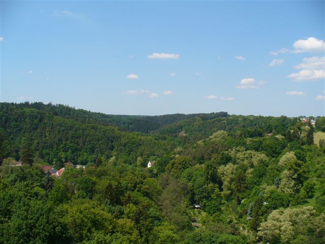P100g0039.JPG