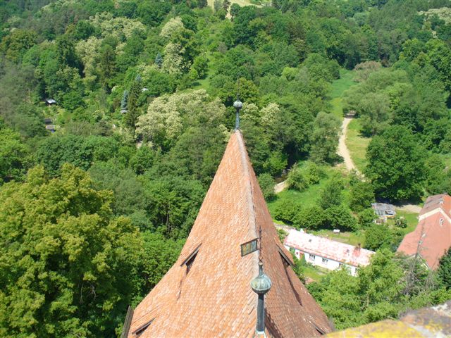 P100rčg0040.JPG