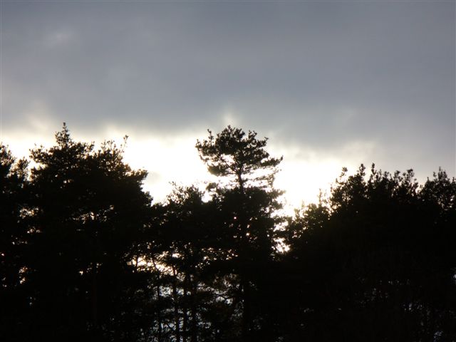 P1000313.JPG