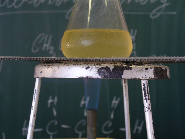 P1000094 (2).JPG