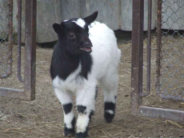 DSCF0553.JPG