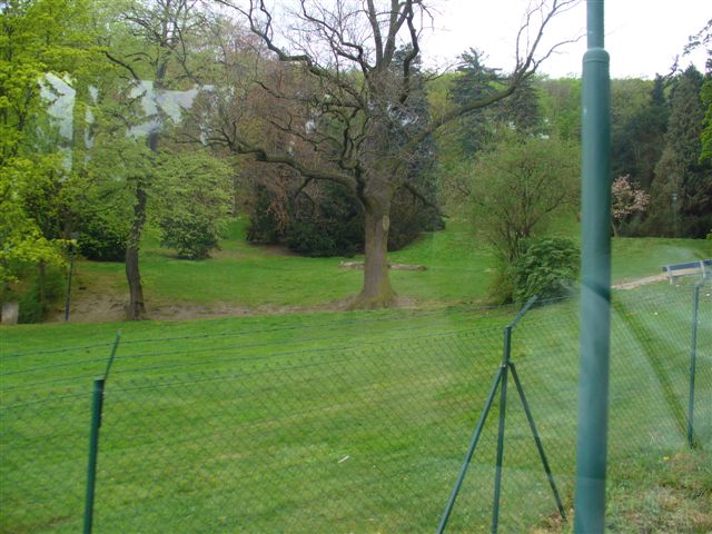 P1000277 (3).JPG