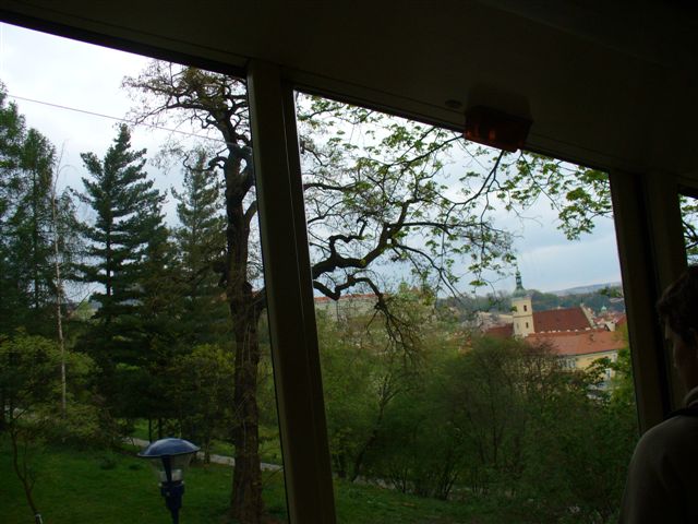 P1000279 (2).JPG