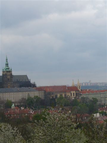 P1000282.JPG