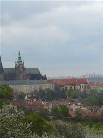 P1000283.JPG