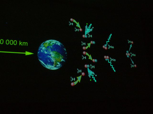 P1000288 (2).JPG