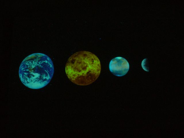 P1000290 (2).JPG