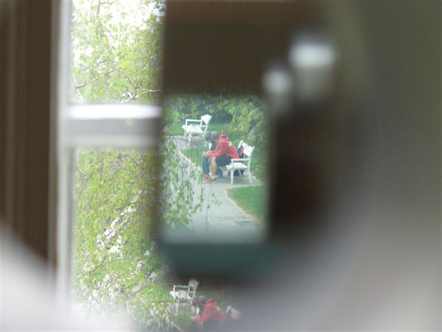 P1000300 (3).JPG