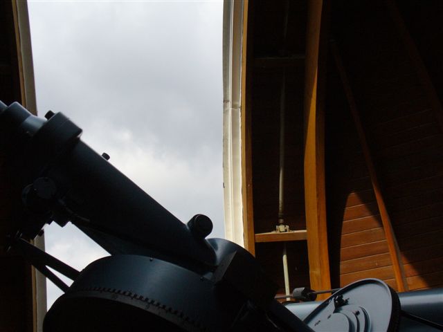 P1000303 (2).JPG