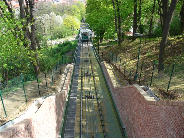 P1000307 (3).JPG