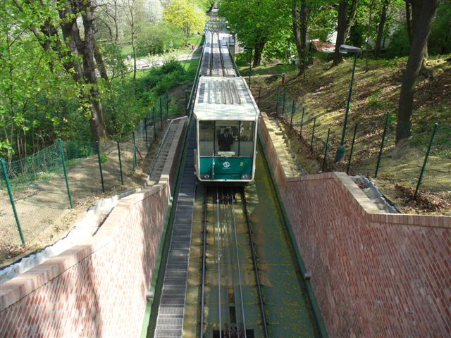 P1000308.JPG