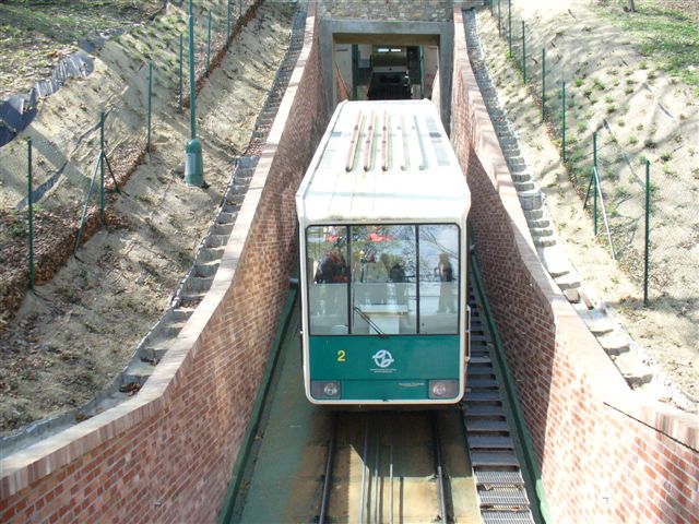 P1000309 (2).JPG