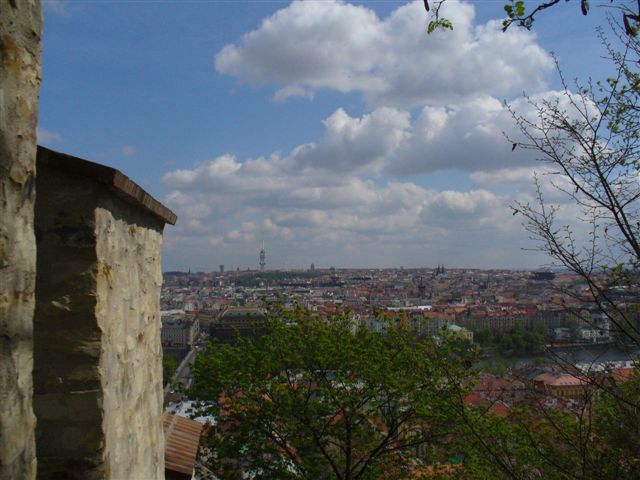 P1000310 (2).JPG