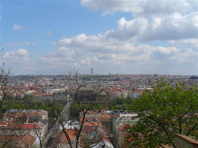 P1000311 (2).JPG