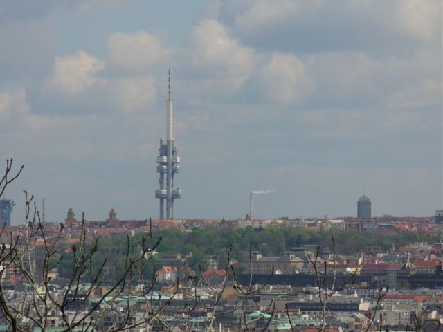 P1000312 (2).JPG