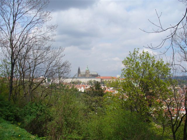 P1000313 (2).JPG
