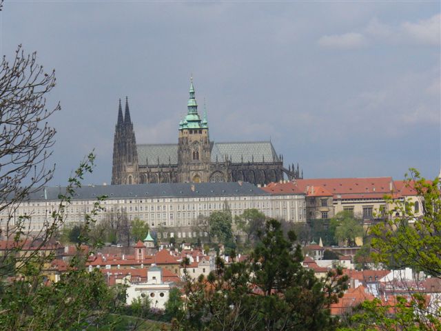 P1000314 (2).JPG