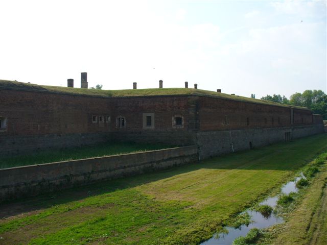 P1000633.JPG