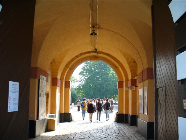 P1000634.JPG