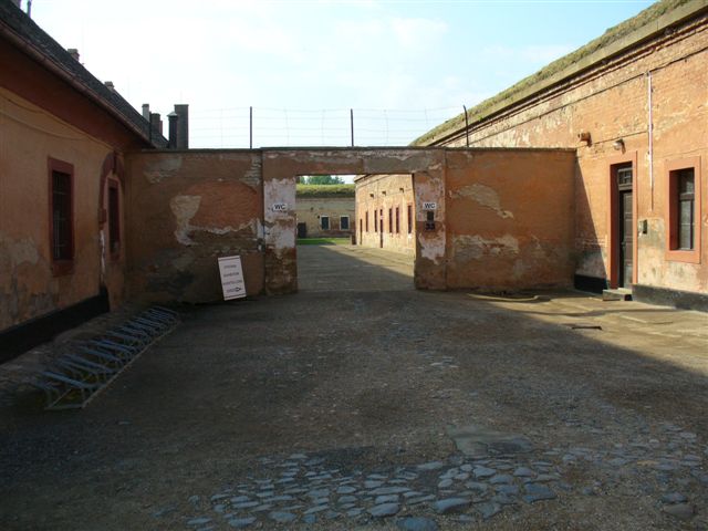 P1000635.JPG