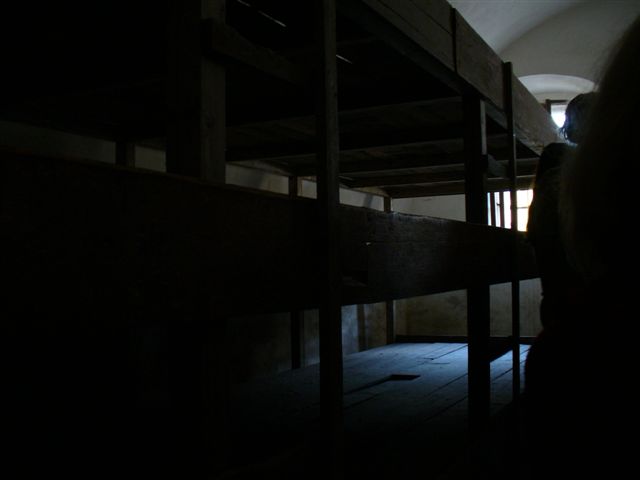 P1000645.JPG