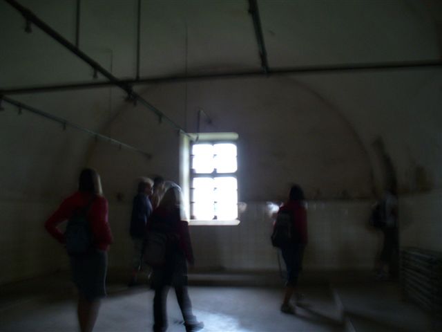 P1000650.JPG