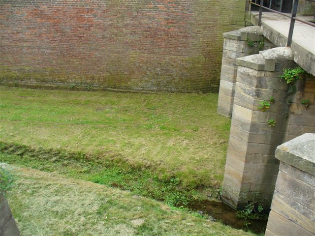 P1000651.JPG