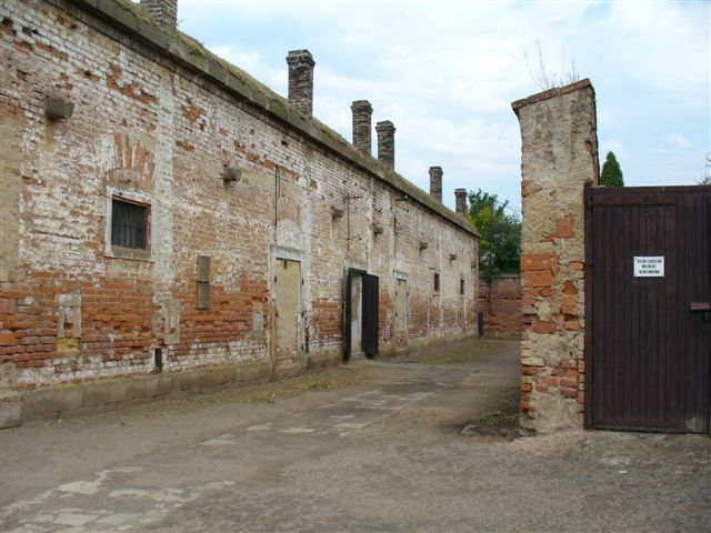 P1000652.JPG
