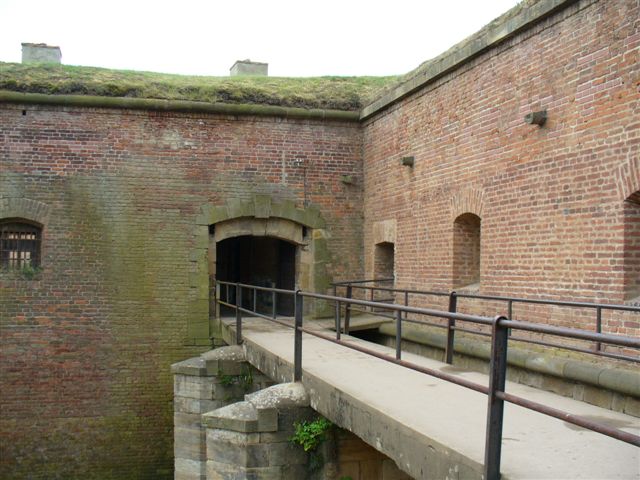 P1000653.JPG
