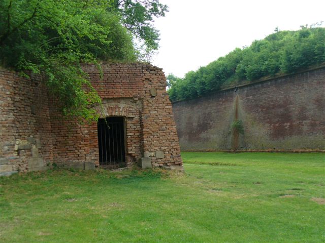 P1000654.JPG