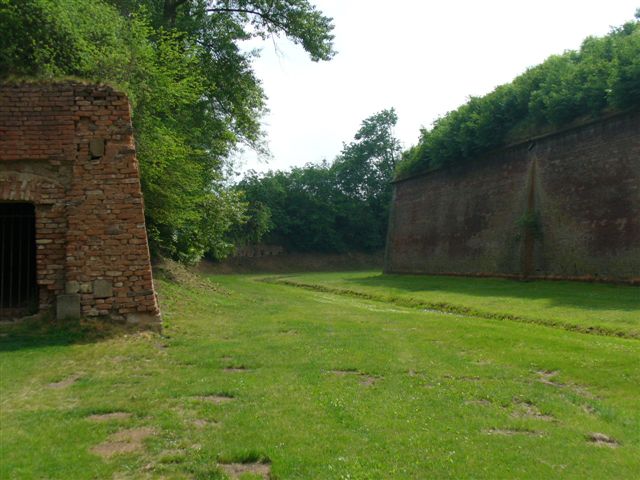 P1000655.JPG