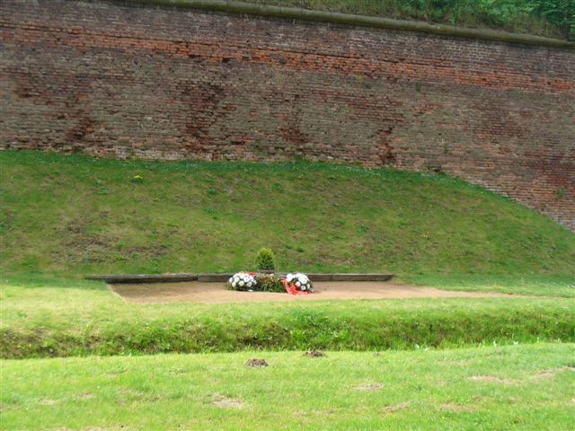 P1000657.JPG
