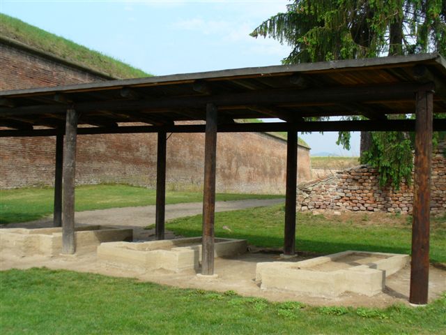 P1000658.JPG