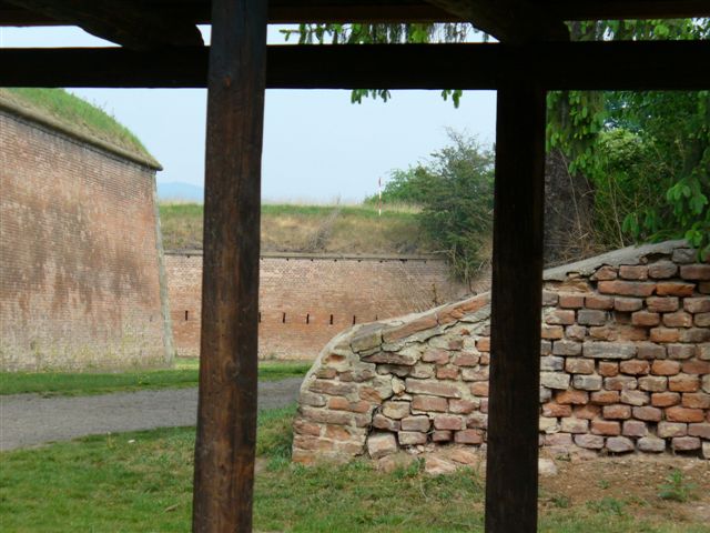 P1000659.JPG