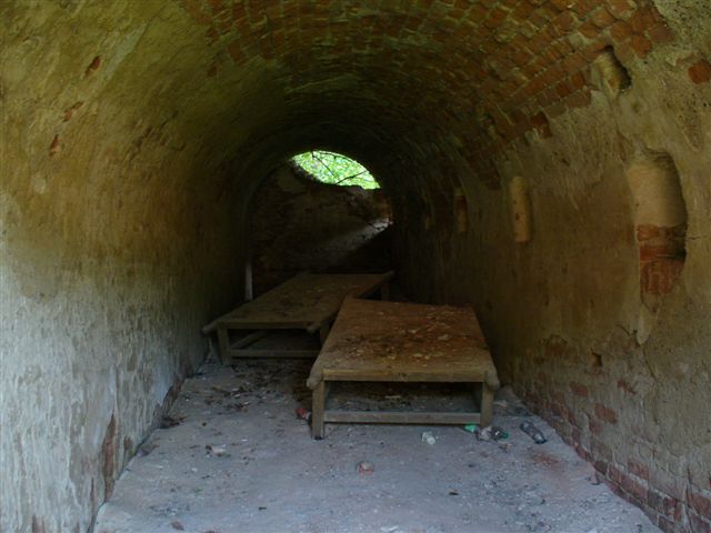 P1000660.JPG