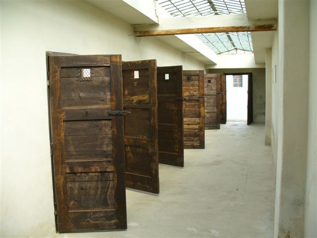 P1000667.JPG