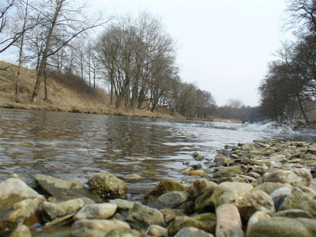 P1000247.JPG