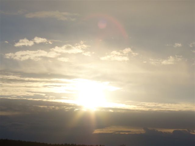 P1000339.JPG