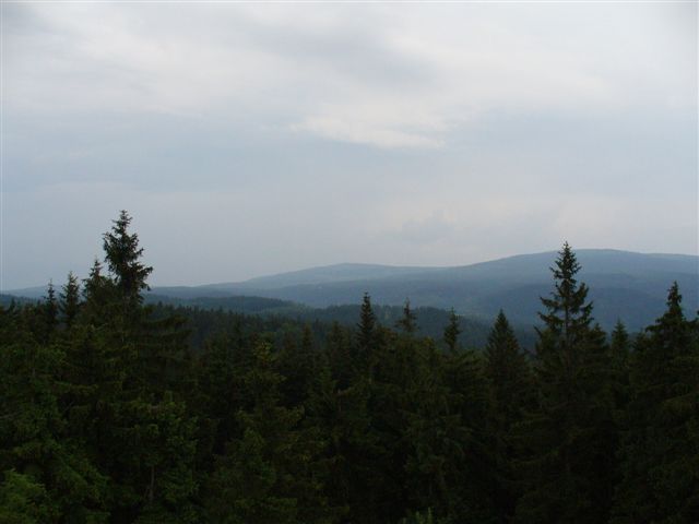 P1010013.JPG