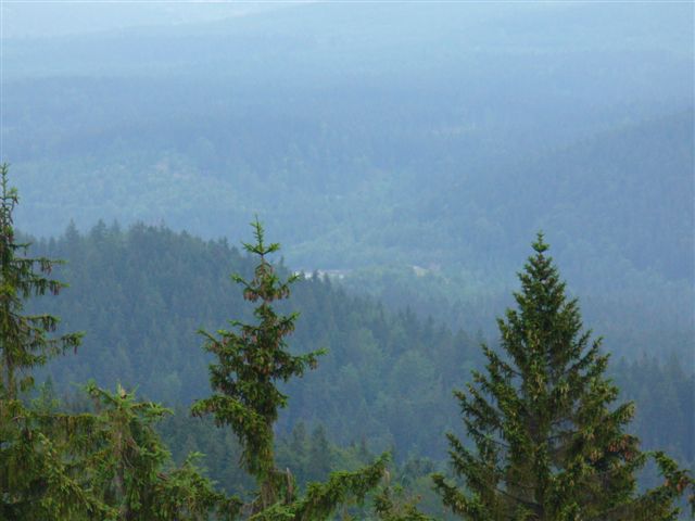 P1010014.JPG