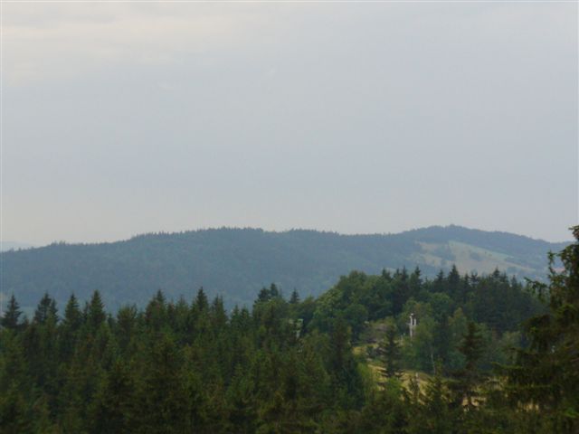 P1010017.JPG