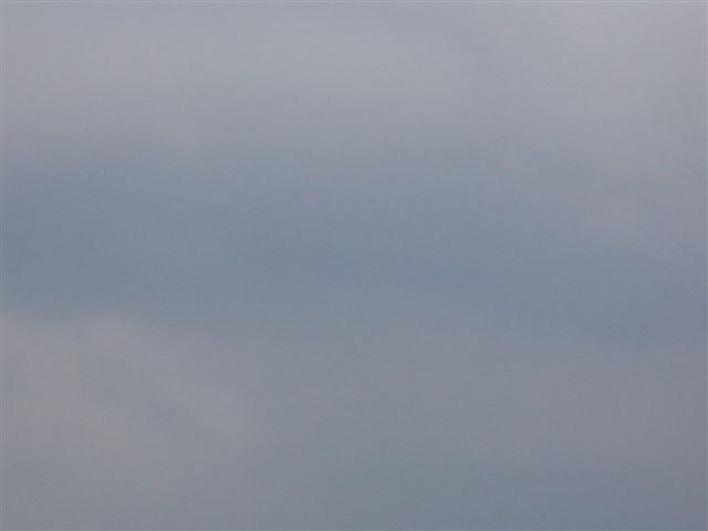 P1010109.JPG